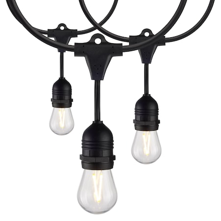 Satco 24-Foot LED String Light Fixture with 12-S14 Lamps, 2000K, 120 Volts S8030